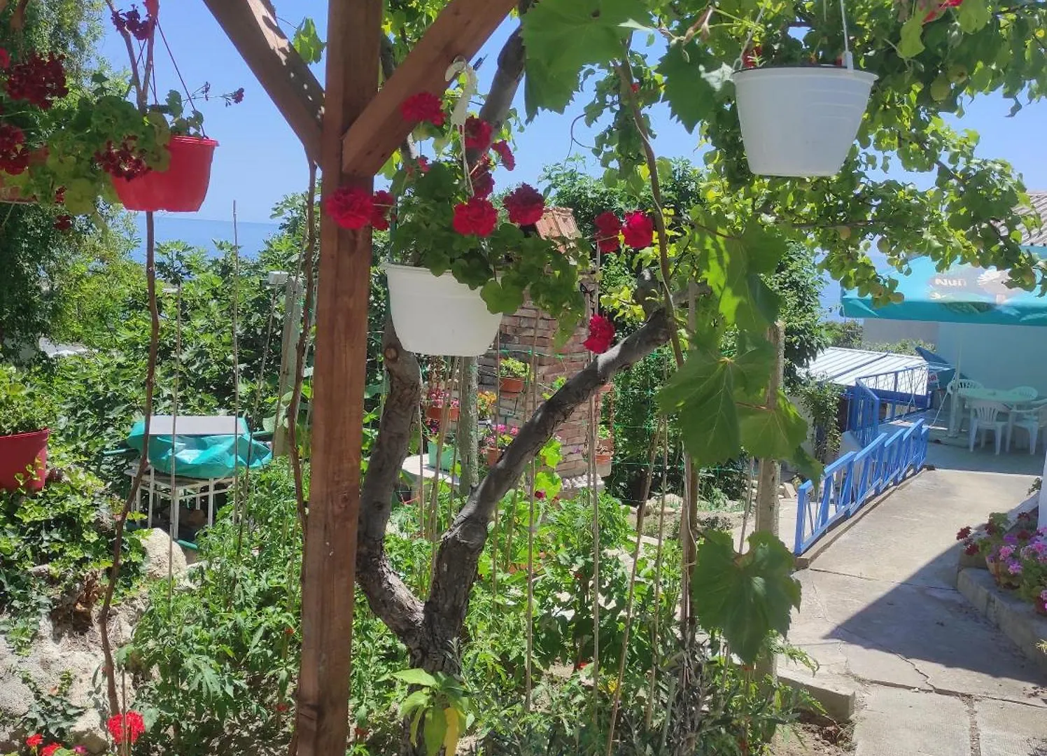Ваканционни Къщи'На Брега' Holiday Houses On The Coast 瓦爾納 0*,  保加利亚